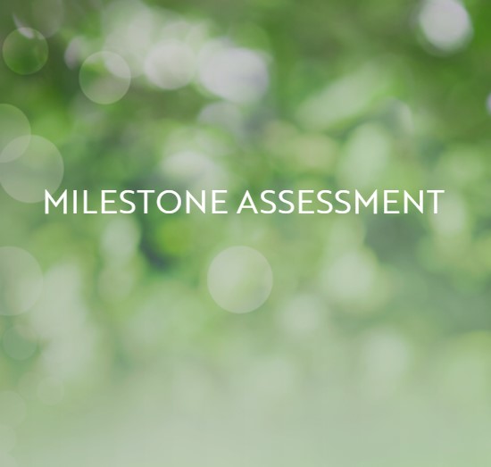 Milestone Assessment